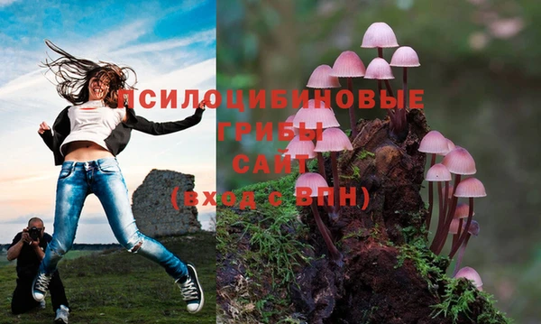 jwh Алексин