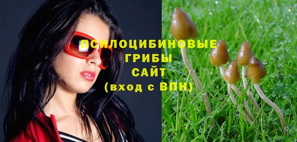 экстази Алзамай
